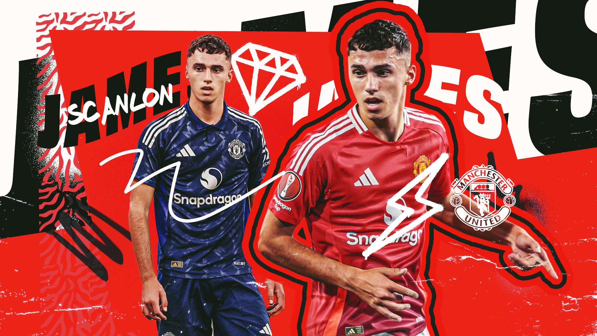 他们将提供 他们将提供